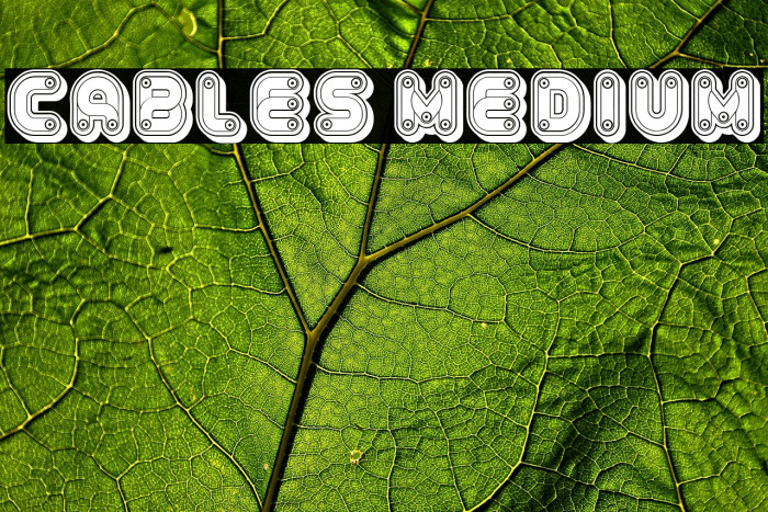 Cables Medium Example 3