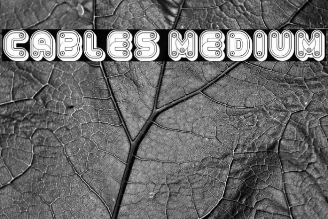 Cables Medium フォント examples