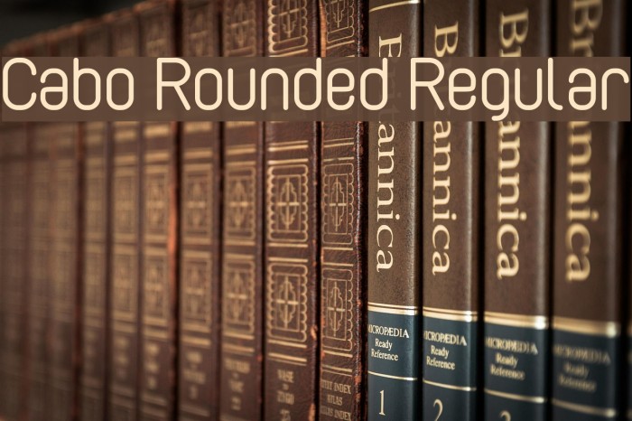 Cabo Rounded Regular Font examples