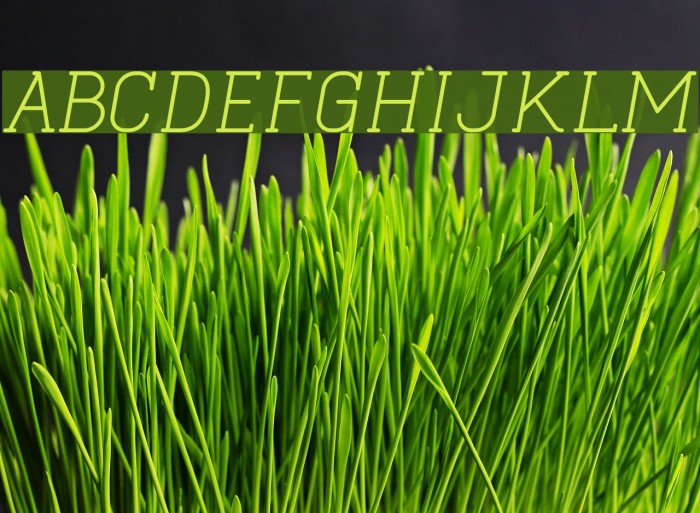 Cabo Slab Italic Font examples