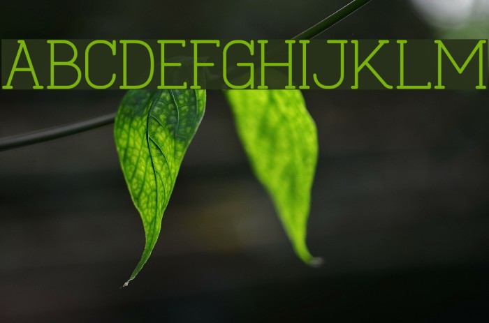 Cabo Slab Regular Example 3