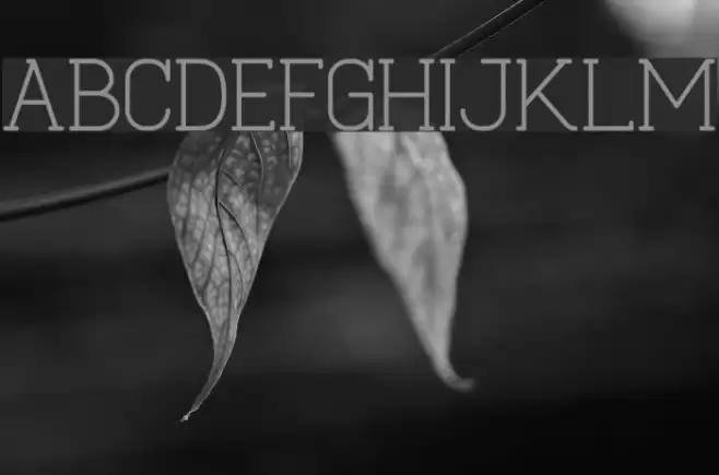 Cabo Slab Regular Font examples