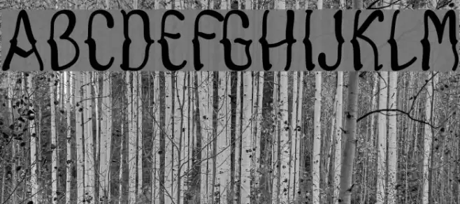 Caboge Font examples