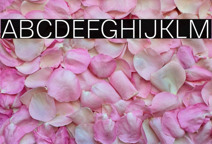 Cabrion-Light Example 1