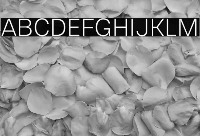 Cabrion-Light Font examples