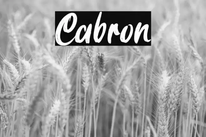 Cabron Font examples