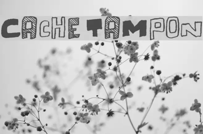 Cache Tampon Font examples