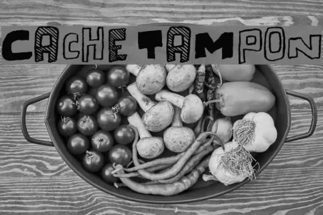 Cache Tampon Font examples