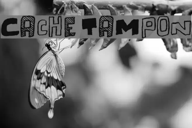 Cache Tampon Font examples