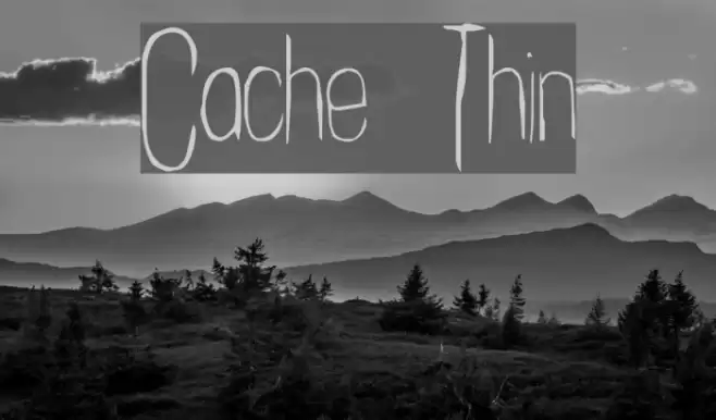 Cachex Thin フォント examples