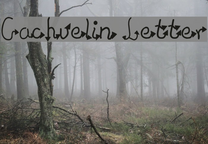 Cachuelin Letter Font examples