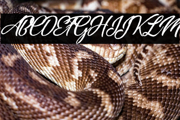 Cacilds Regular Example 2