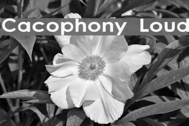 Cacophony Loud Polices examples
