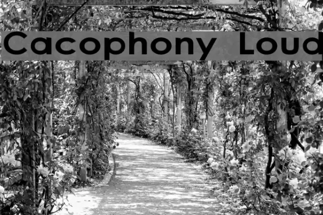 Cacophony Loud Polices examples