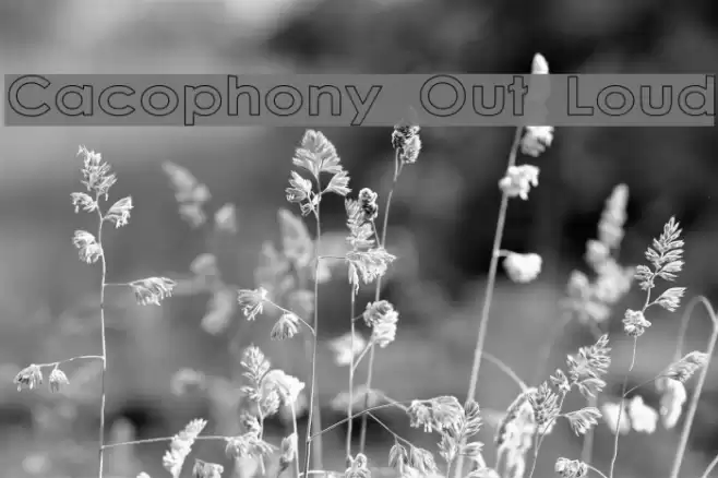 Cacophony Out Loud  examples