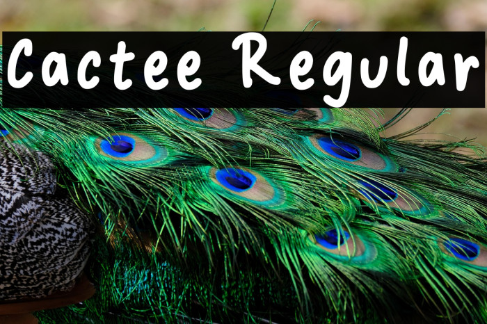Cactee Regular Example 2