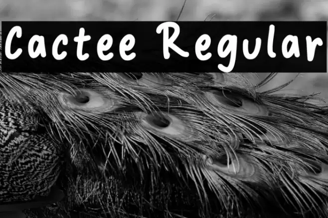 Cactee Regular Font examples