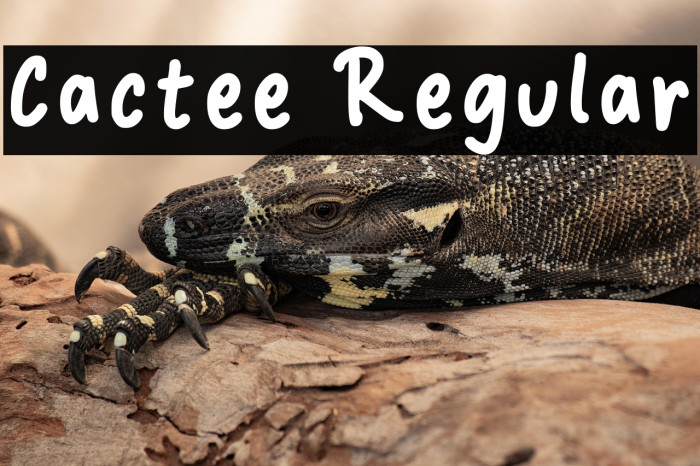 Cactee Regular Example 3
