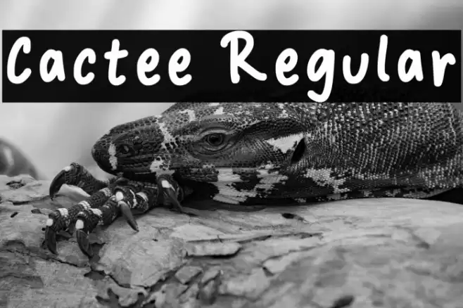 Cactee Regular Font examples