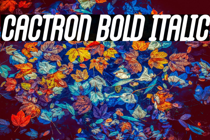 Cactron Bold Italic Example 2