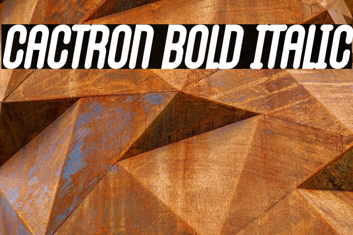 Cactron Bold Italic Example 3
