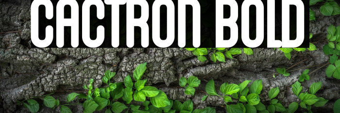 Cactron Bold Example 1