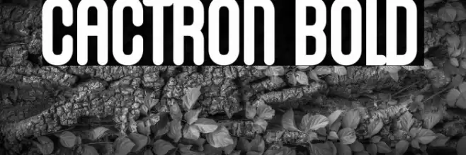 Cactron Bold Font examples