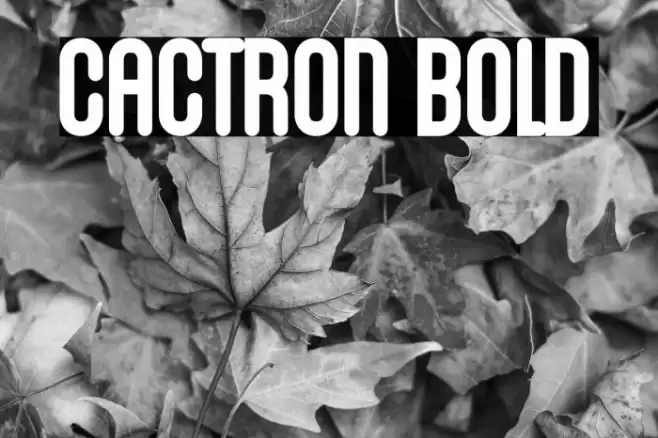 Cactron Bold Font examples