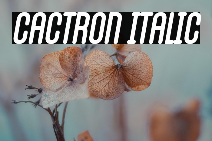 Cactron Italic Example 1