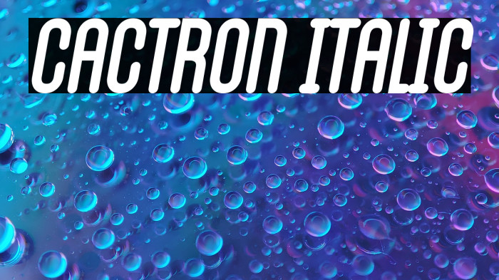 Cactron Italic Example 2