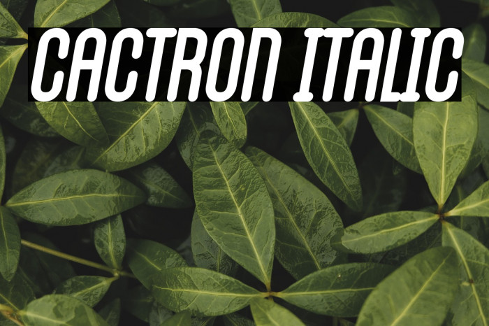 Cactron Italic Example 3