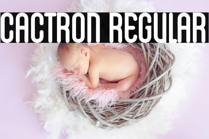 Cactron Regular Example 2