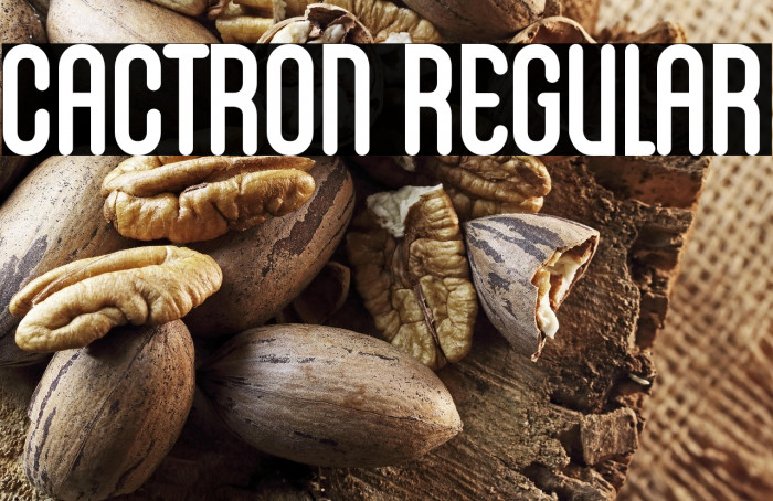 Cactron Regular Example 3
