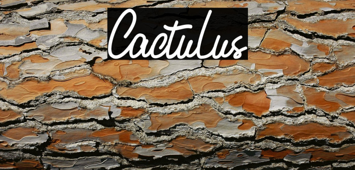 Cactulus Example 1
