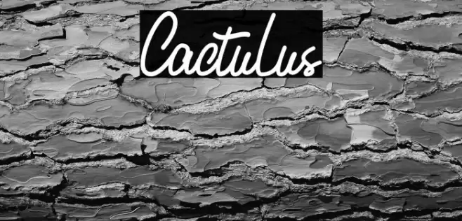 Cactulus Font examples