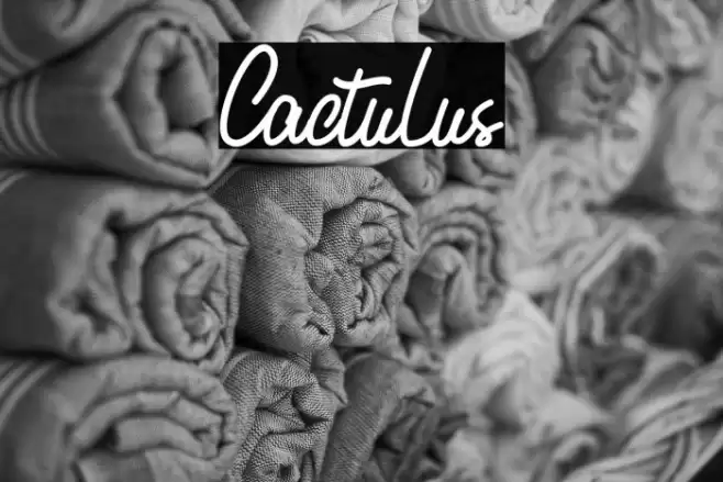 Cactulus Font examples
