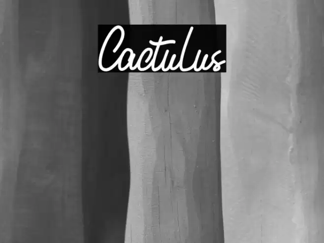 Cactulus Font examples