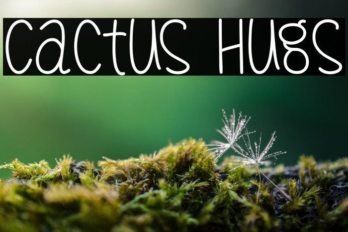 Cactus Hugs Example 3