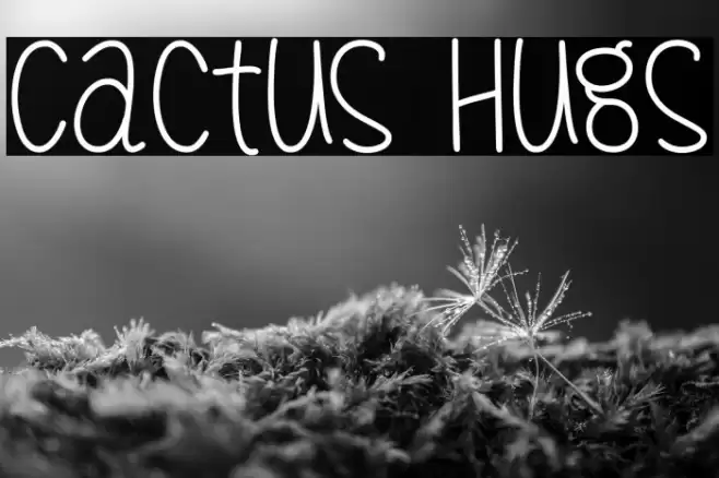 Cactus Hugs Font examples