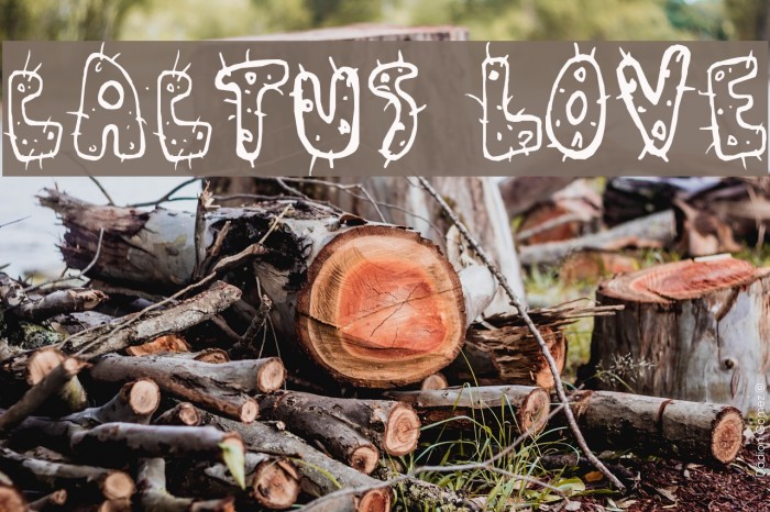 Cactus Love Font examples