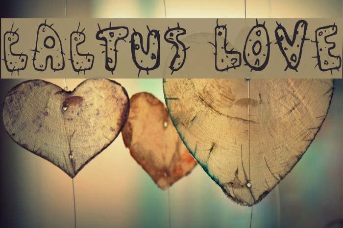 Cactus Love Font examples