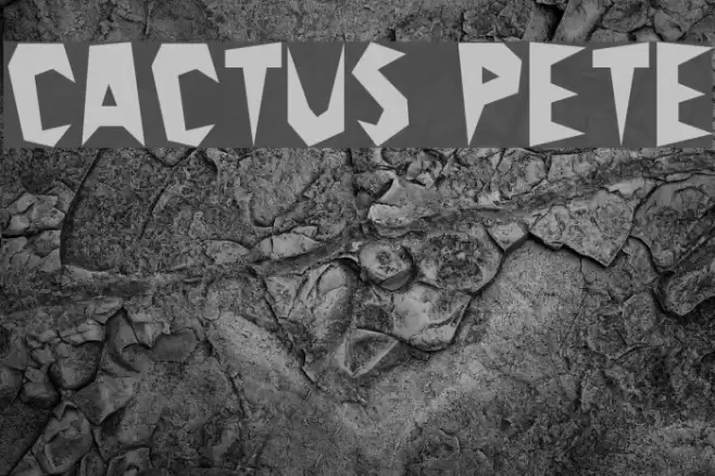 Cactus Pete Font examples