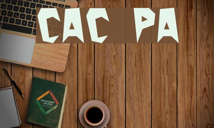 Cactus Plain Font examples