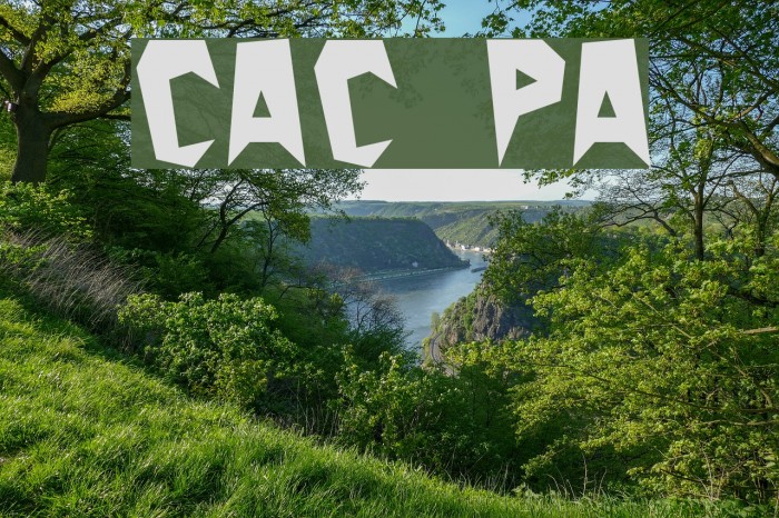 Cactus Plain Font examples