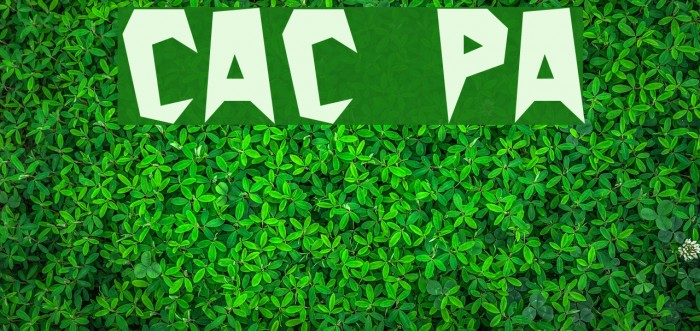 Cactus Plain Font examples