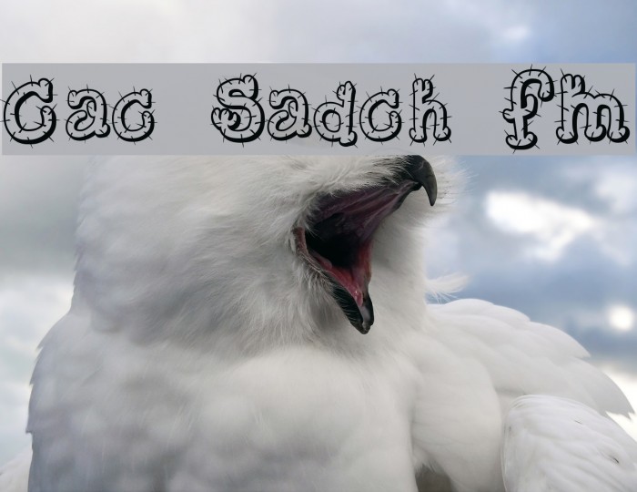 Cactus Sandwich FM Font examples