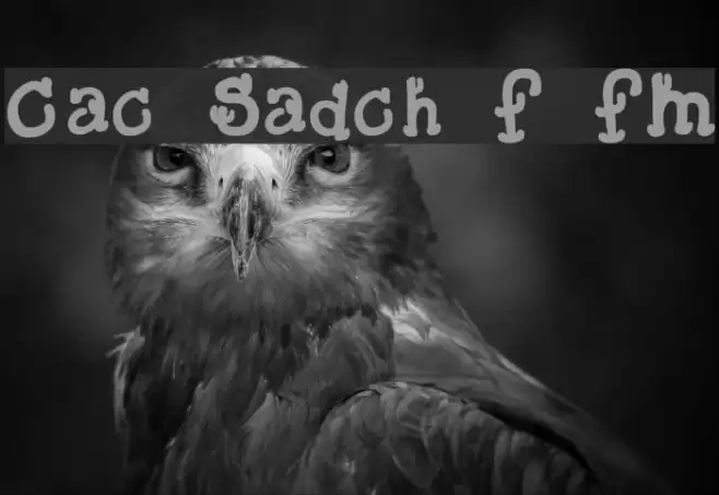 Cactus Sandwich Fill FM フォント examples