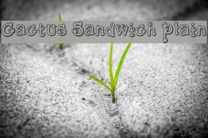 Cactus Sandwich Plain Fonte examples
