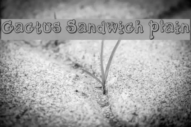 Cactus Sandwich Plain Font examples