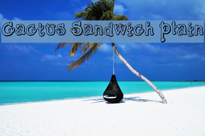 Cactus Sandwich Plain Fonte examples